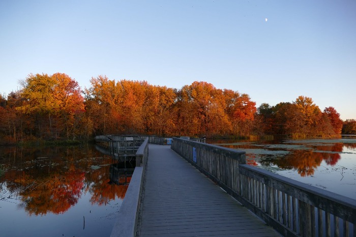 John Heinz National Wildlife Refuge Philadelphia